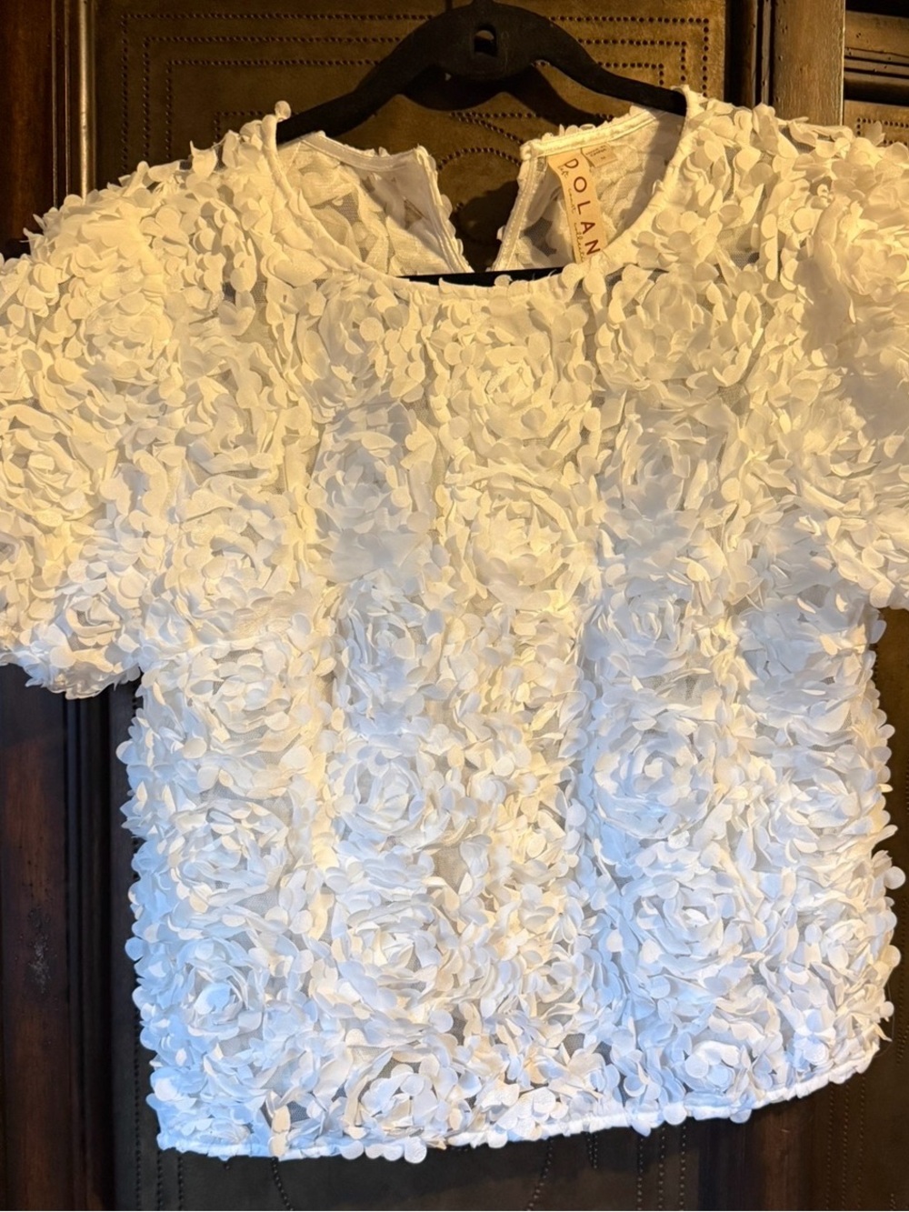 dolan Crushed Rosemary Adore You Blouse - Cream